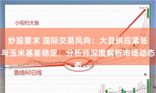 炒股要求 国际交易风向：大豆供应紧张与玉米基差稳定，分析师深度解析市场动态