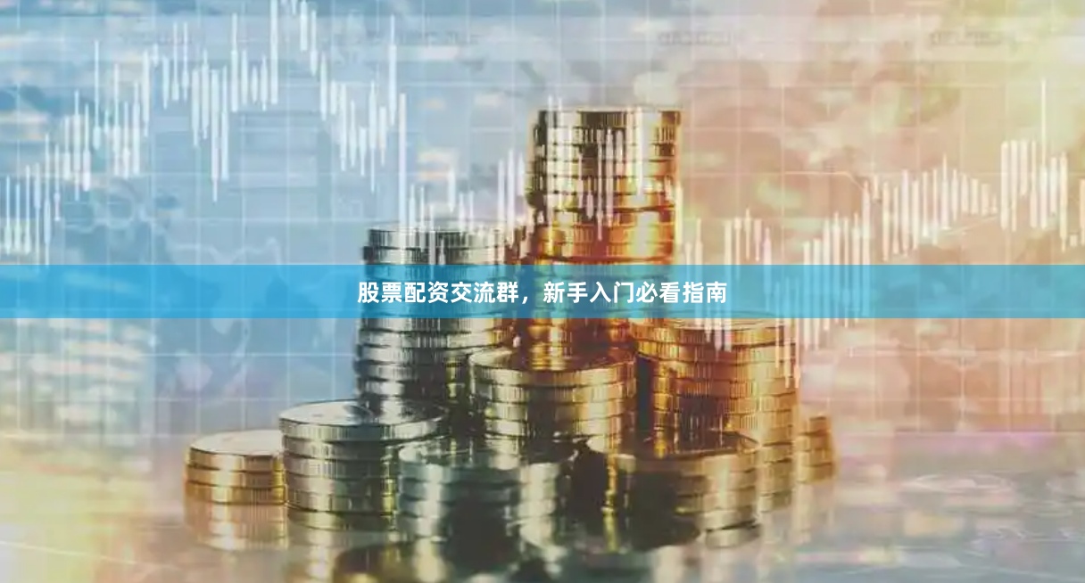 股票配资交流群，新手入门必看指南