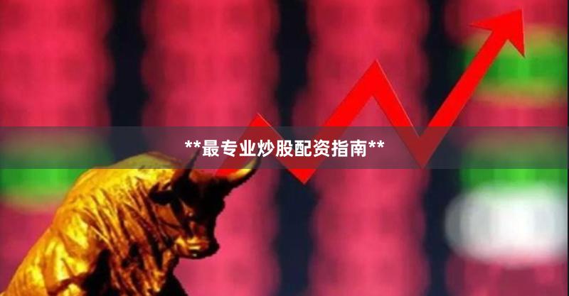**最专业炒股配资指南**
